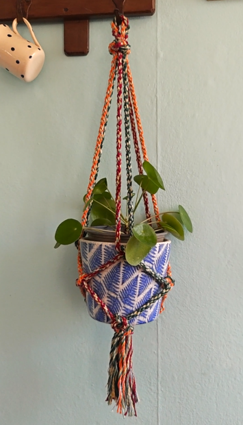 Plant Hanger