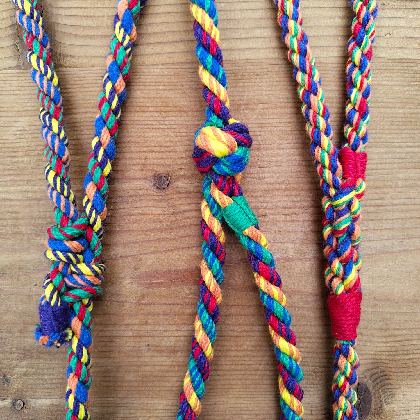 Rainbow Dog Leads