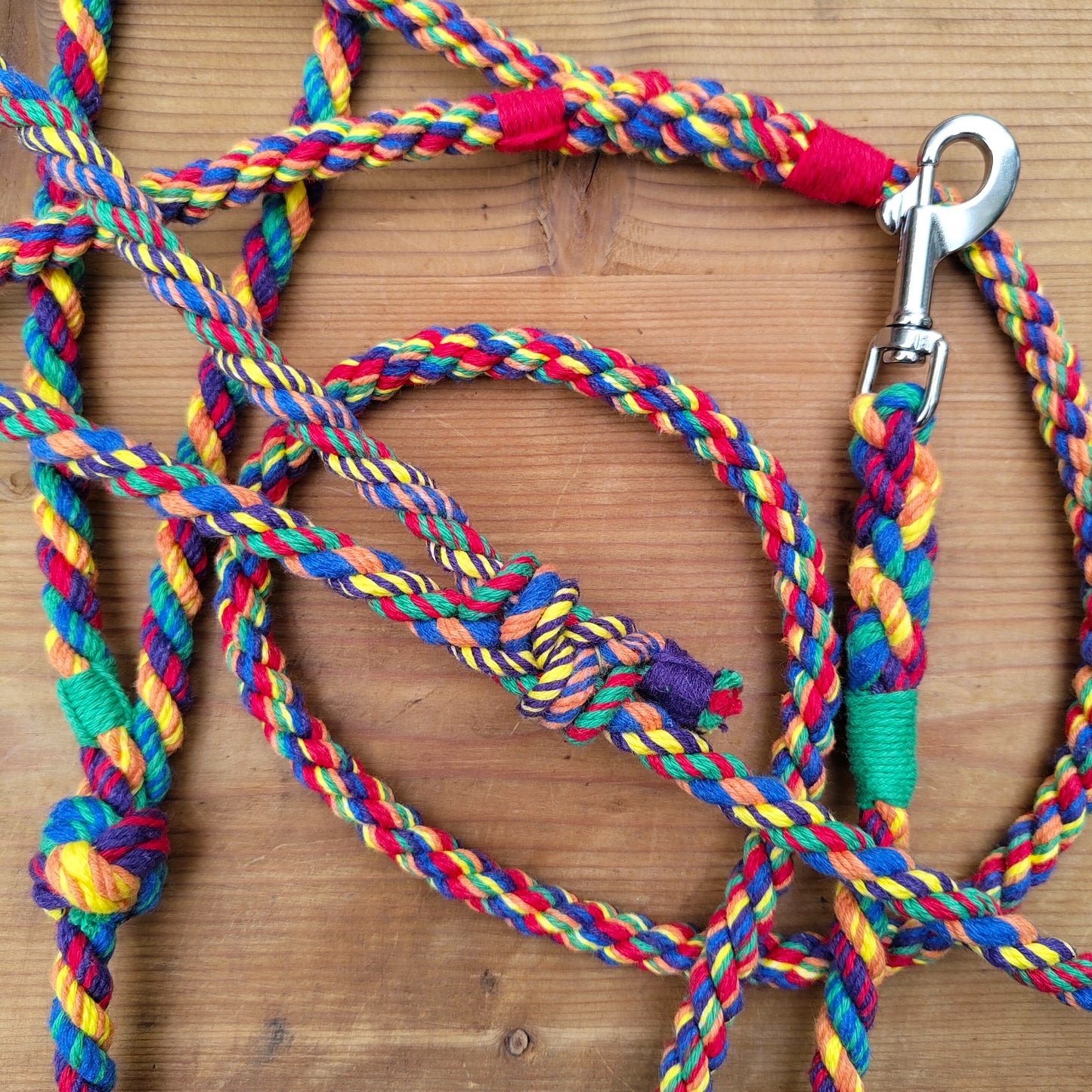 Rainbow Dog Leads