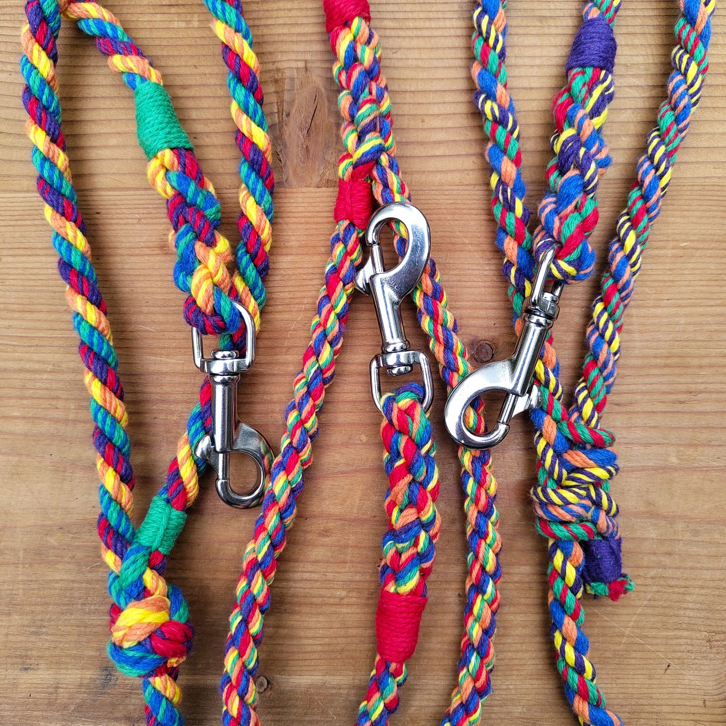 Rainbow Dog Leads