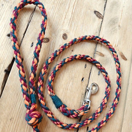 Dog Lead