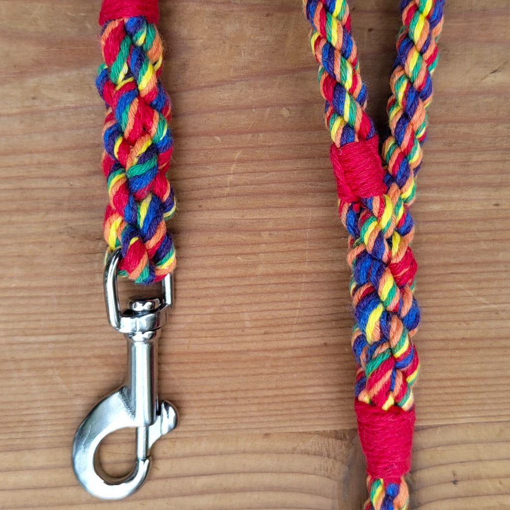 Rainbow Dog Leads