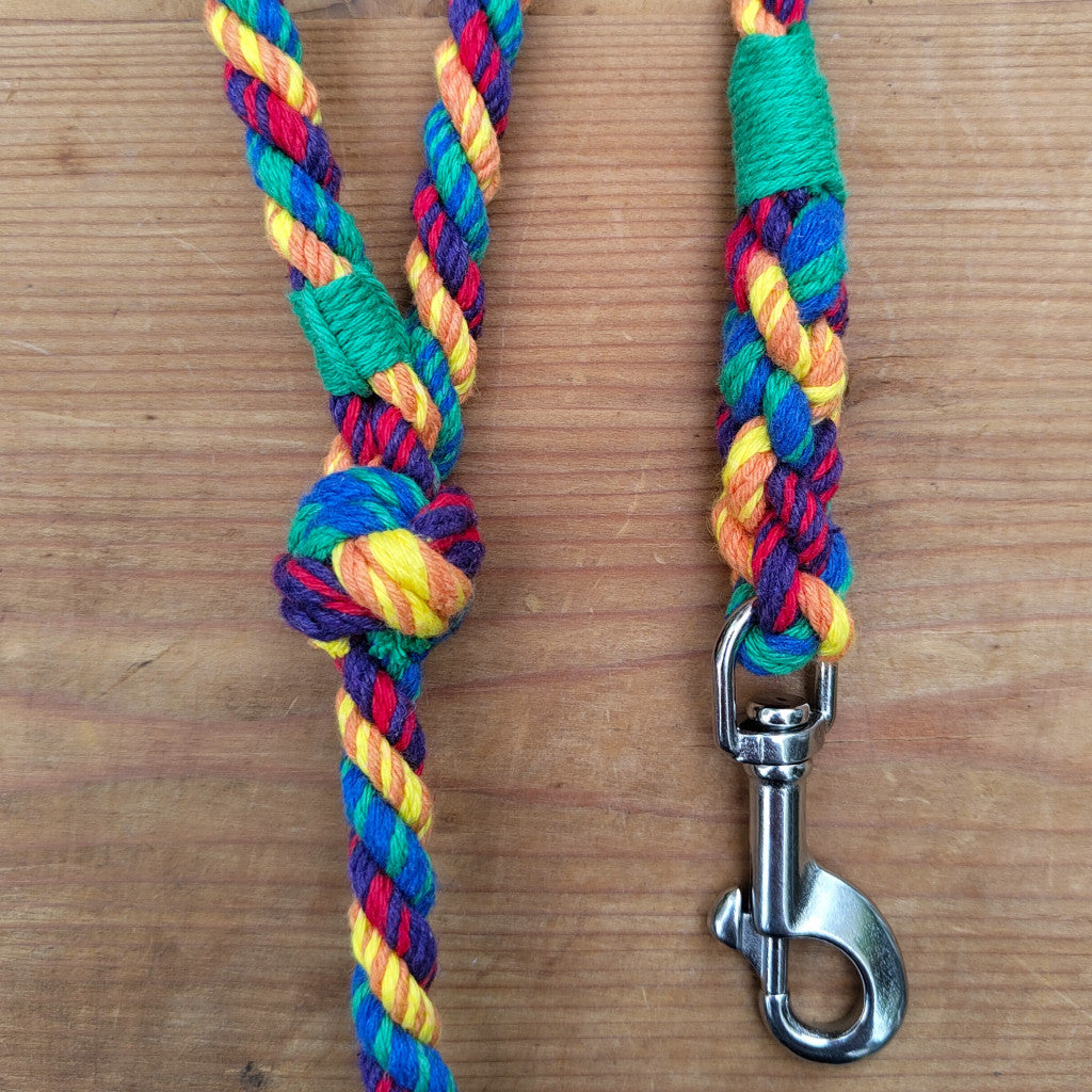Rainbow Dog Leads
