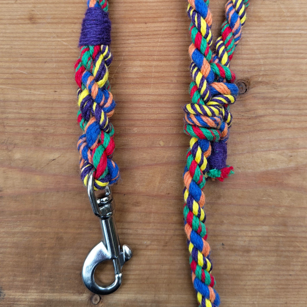 Rainbow Dog Leads