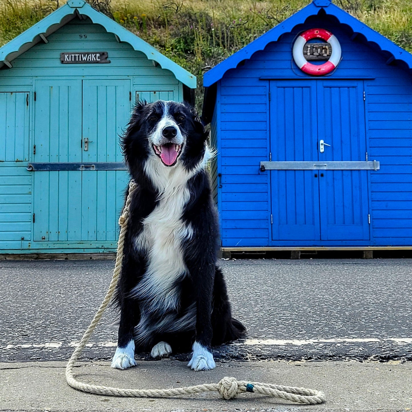 Natural Flax Dog Leads