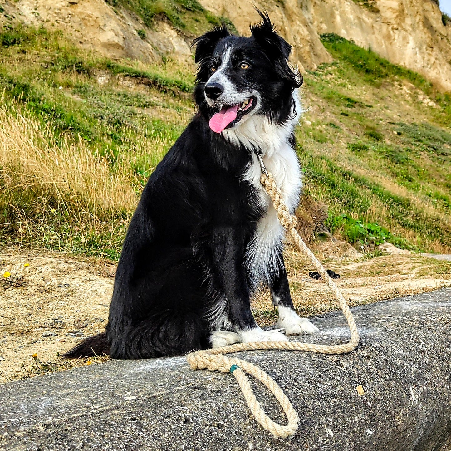 Natural Flax Dog Leads